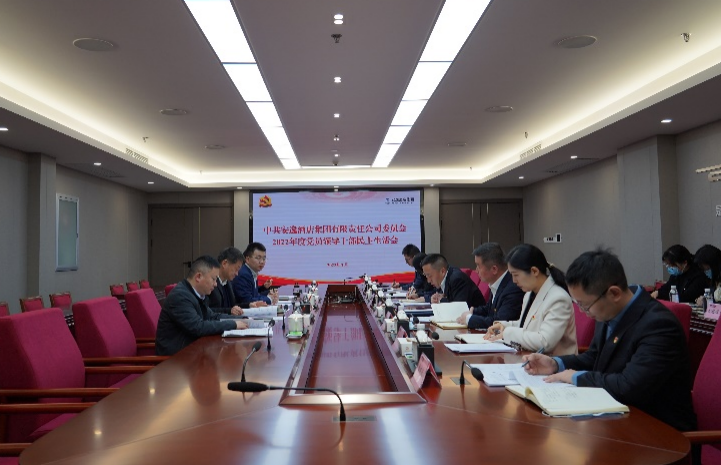 尊龙凯时集团党委书记、董事长任丁出席安逸酒店集团2022年度党员领导干部民主生活会